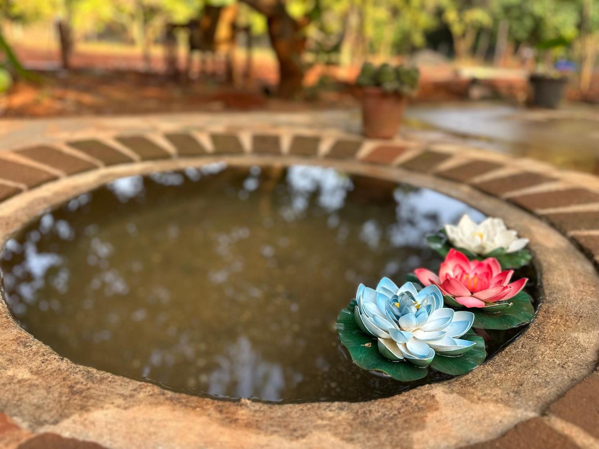 Lotus Garden Guest House Auroville Exterior photo