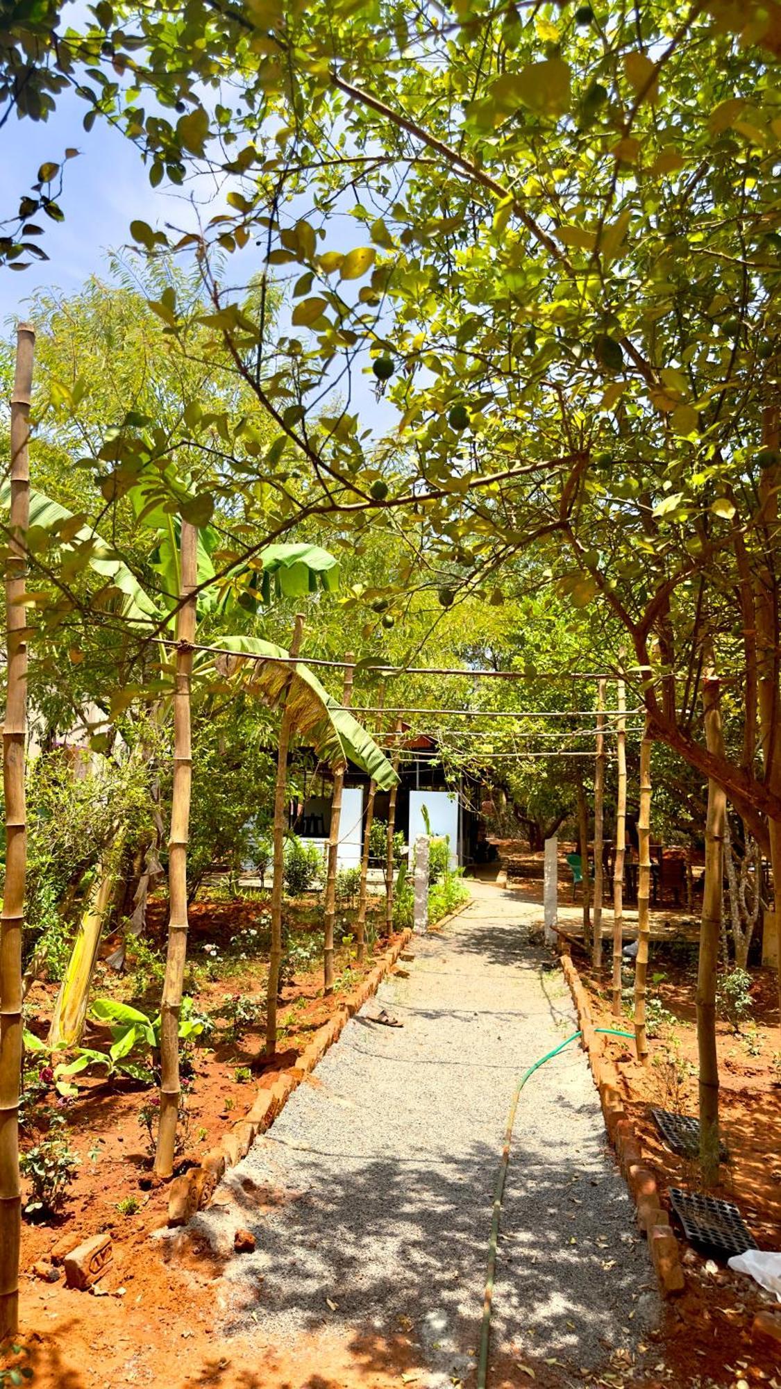 Lotus Garden Guest House Auroville Exterior photo