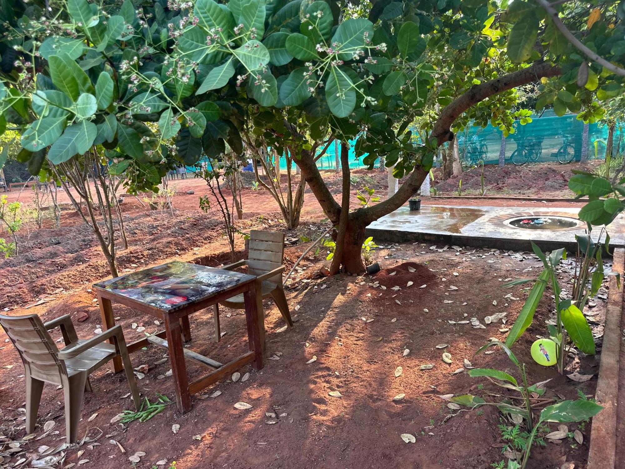 Lotus Garden Guest House Auroville Exterior photo